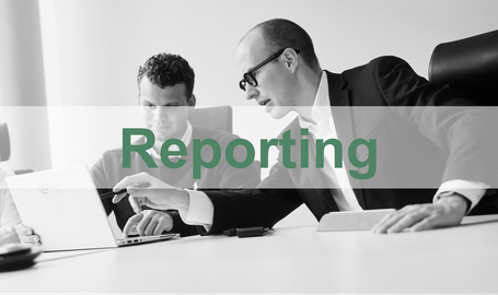 Reporting & ESG Ratings